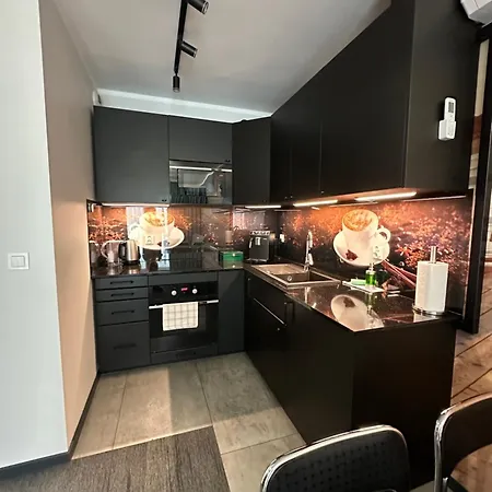 Apartament Magia Z Klimatyzacją I Bezpłatnym Parkingiem Rzeszów